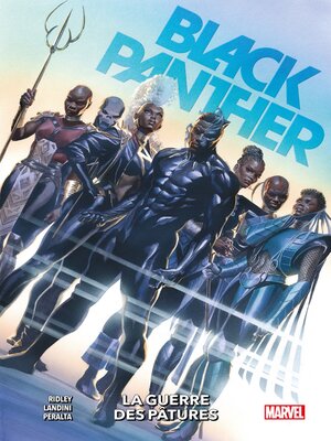 cover image of Black Panther (2021) T02